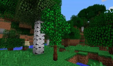 Simply Tea Mod For Minecraft 11211211122mods Download.jpg